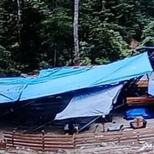 Gayo Lues dalam Ancaman: Emas, Eksplorasi, dan Luka di Tubuh Hutan