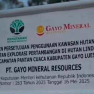 Eksplorasi atau Eksploitasi Terselubung di Jantung Hutan Gayo Lues