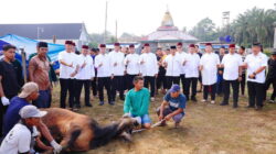Kurban Polri Sampai ke Pinggiran, Kapolri & Kapolda Riau Titip 4 Sapi di Ponpes UAS Pekanbaru